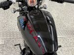 Indian SCOUT 2021 