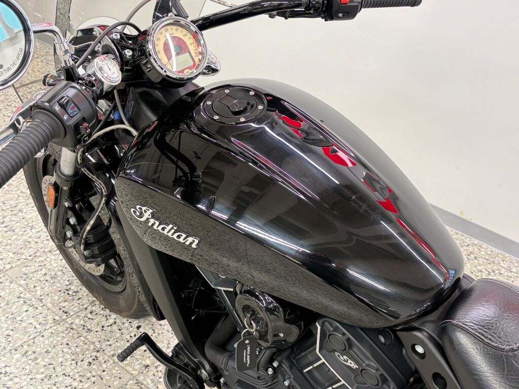 Indian SCOUT 2021 