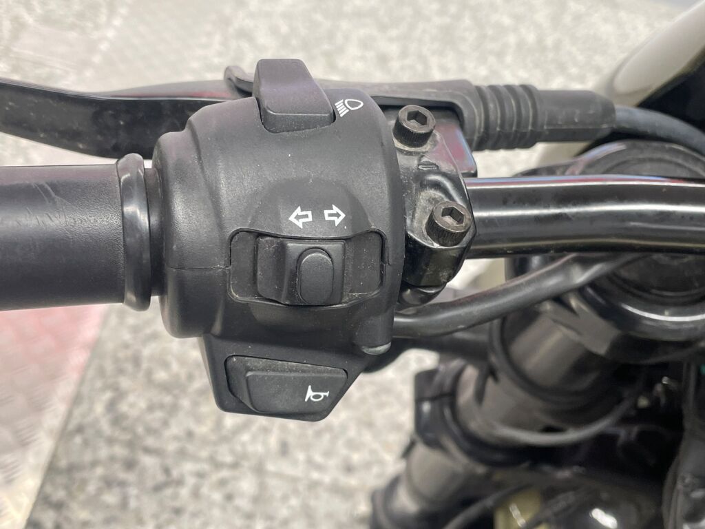 Harley-davidson Street 2019 