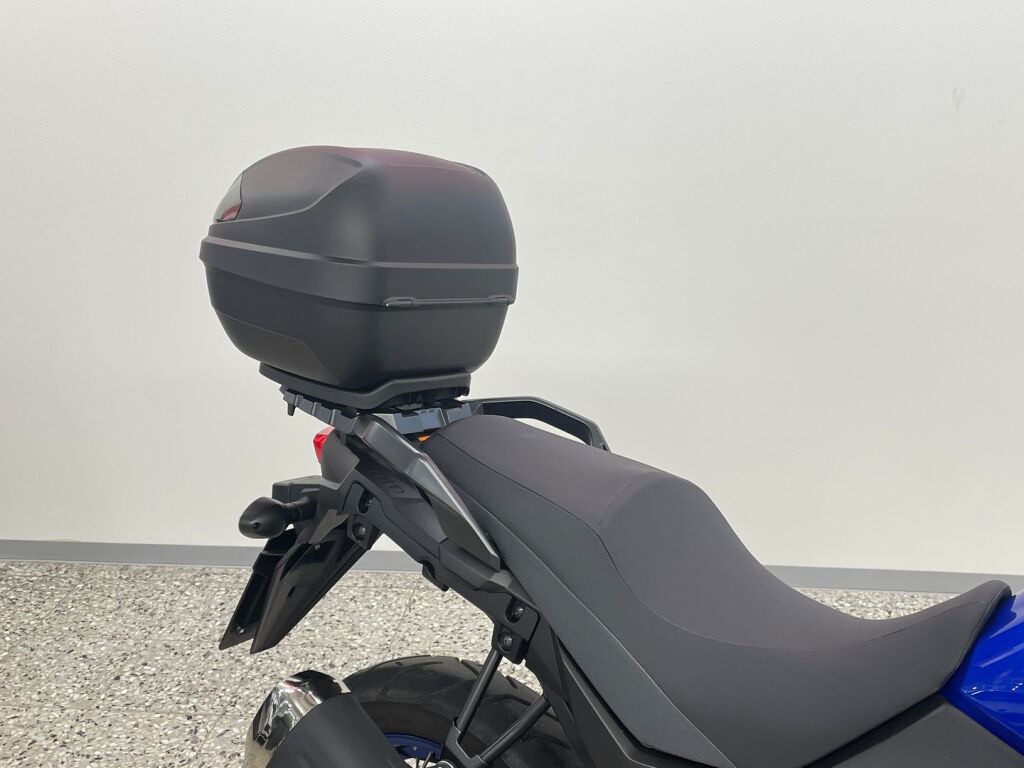 Suzuki DL 2024 