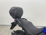 Suzuki DL 2024 