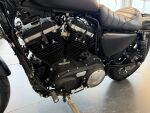 Harley-davidson SPORTSTER 2020 