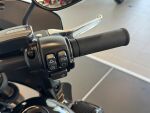Harley-davidson SOFTAIL 2023 