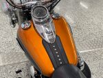Harley-davidson SOFTAIL 2015 