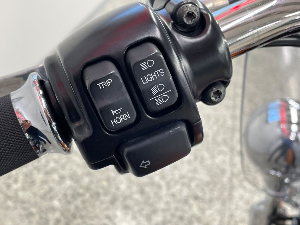 Harley-davidson SOFTAIL 2015 