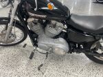 Harley-davidson SPORTSTER 2004 