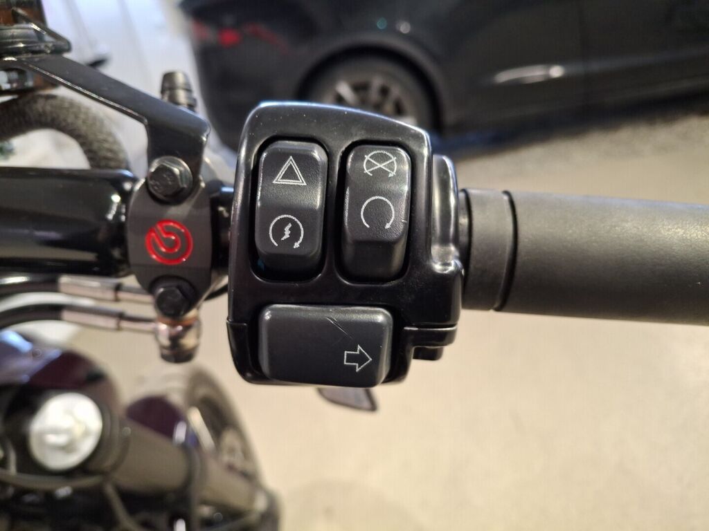 Harley-davidson SOFTAIL 2016 Musta