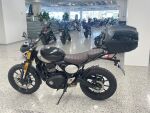 Triumph SCRAMBLER 2025 