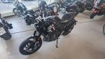 Triumph Trident 2023 