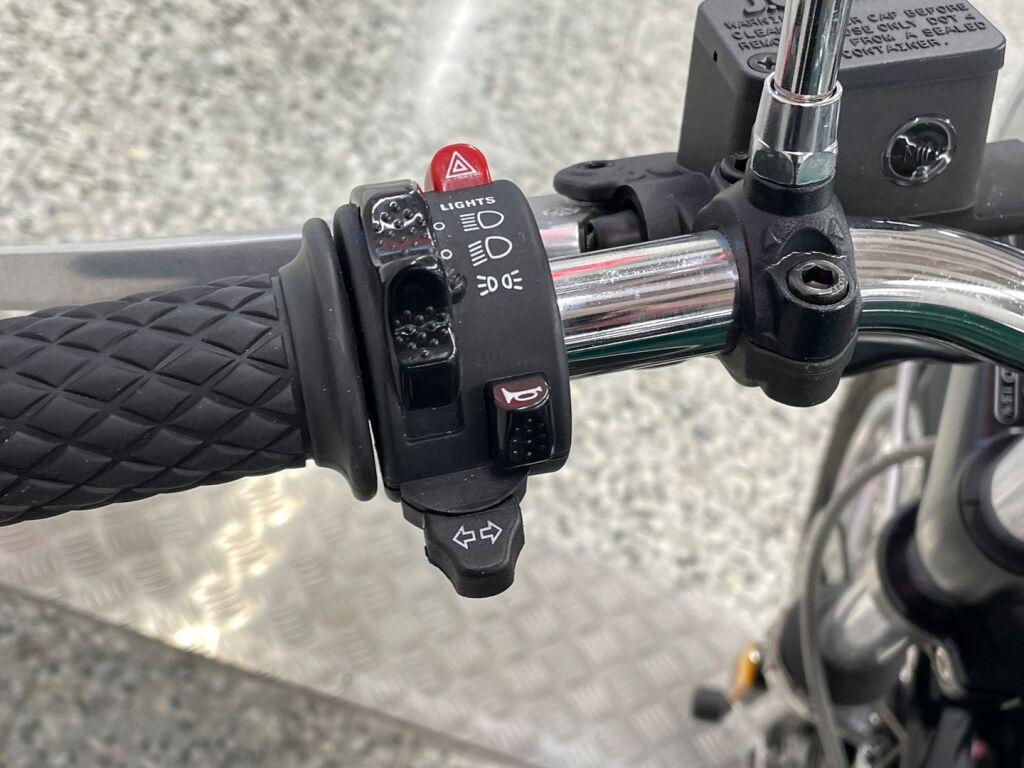 Rgnt The No.1 2022 Musta