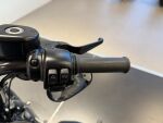 Harley-davidson SPORTSTER 2020 