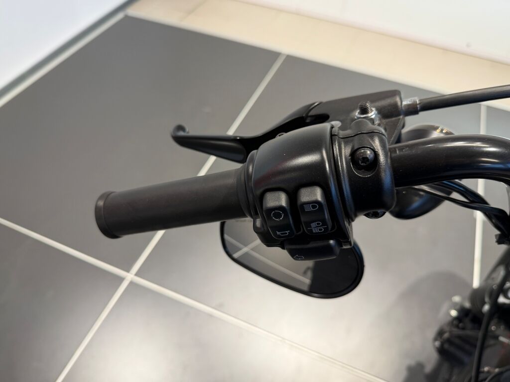 Harley-davidson SPORTSTER 2020 