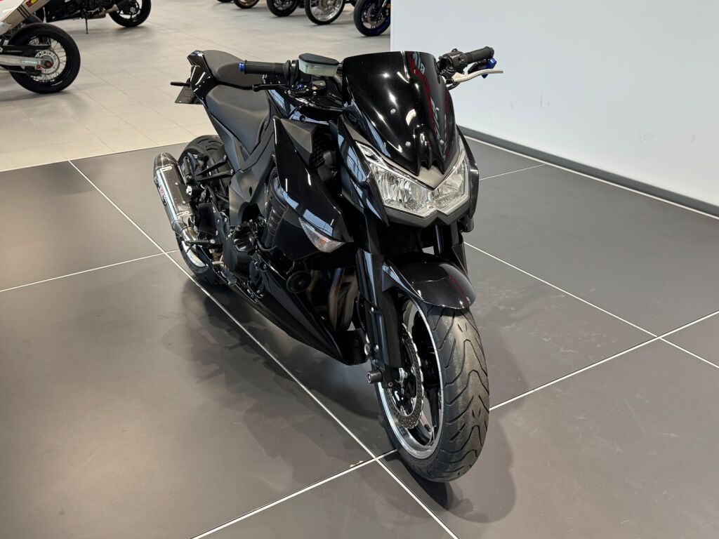 Kawasaki Z 2010 Harmaa