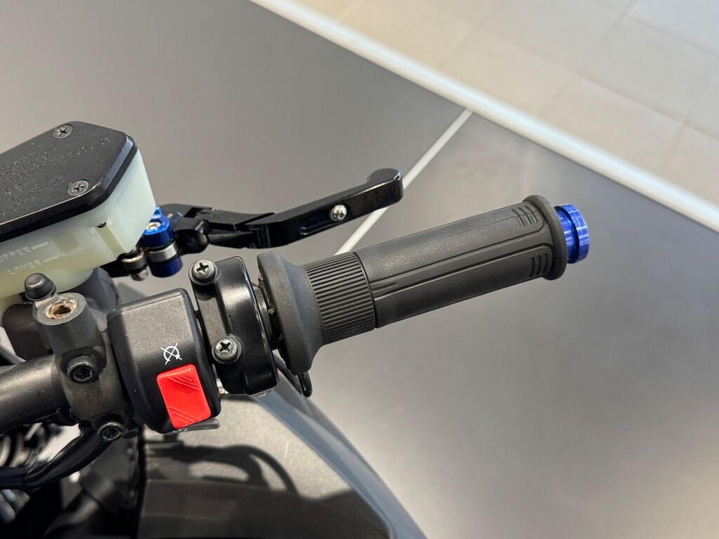 Kawasaki Z 2010 Harmaa