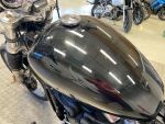 Harley-davidson SOFTAIL 2021 