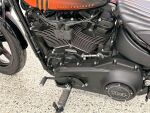 Harley-davidson SOFTAIL 2023 