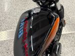 Harley-davidson SOFTAIL 2023 