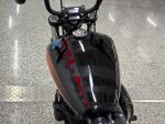 Harley-davidson SOFTAIL 2023 