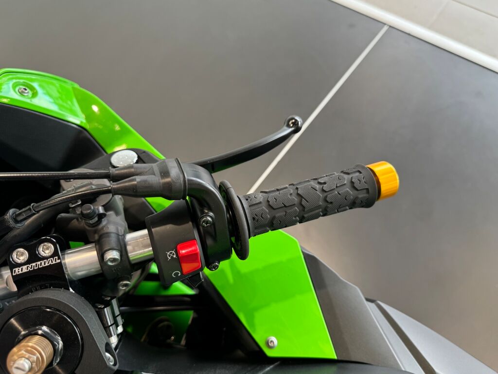 Kawasaki ZX-10R 2010 Vihreä