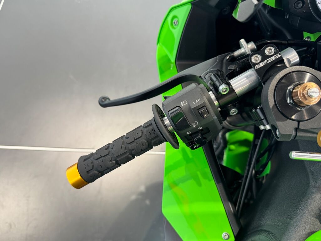 Kawasaki ZX-10R 2010 Vihreä