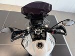 Triumph TIGER 2019 