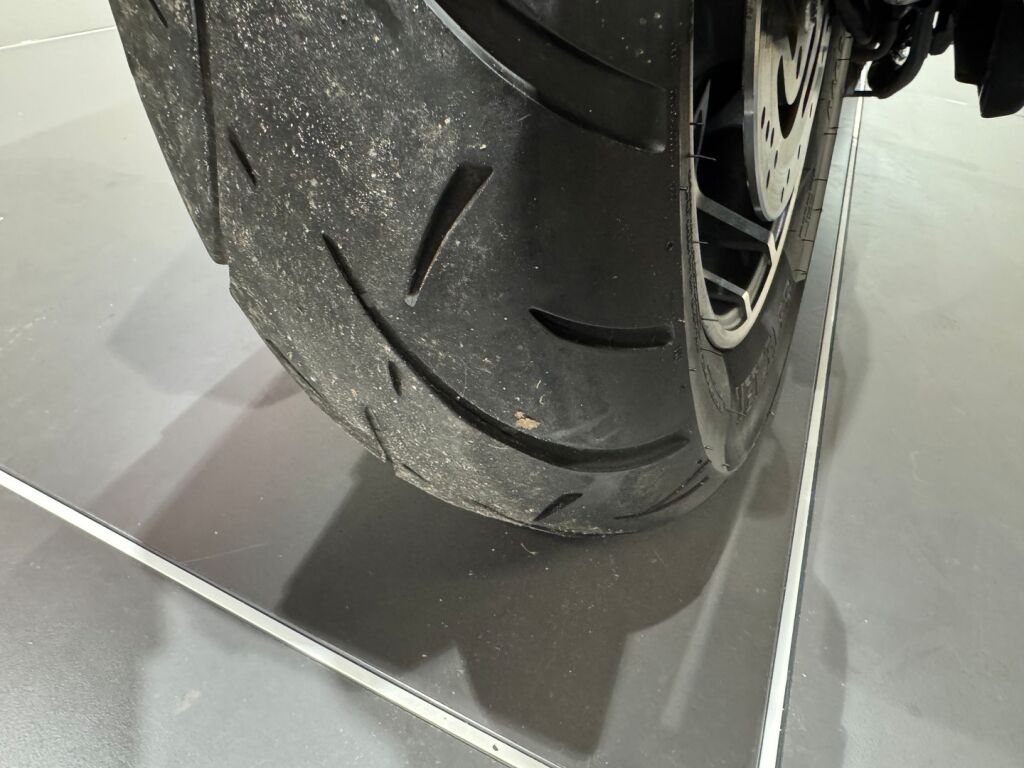 Harley-davidson SOFTAIL 2019 