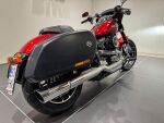 Harley-davidson SOFTAIL 2019 