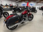 Harley-davidson SOFTAIL 2019 