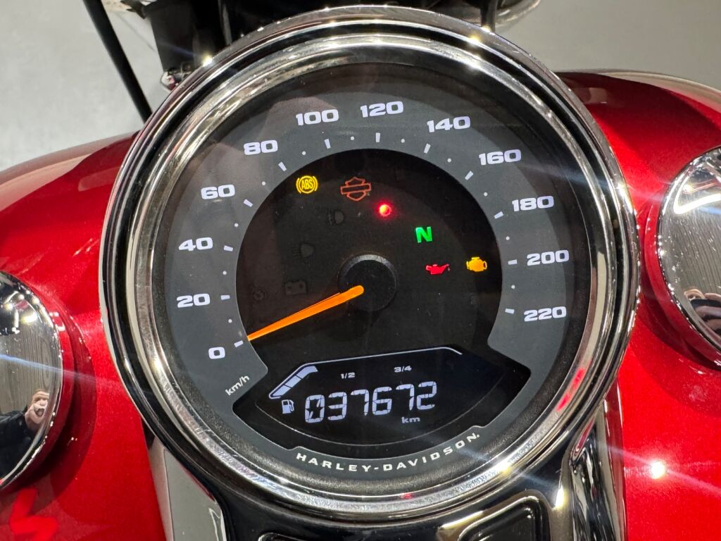 Harley-davidson SOFTAIL 2019 