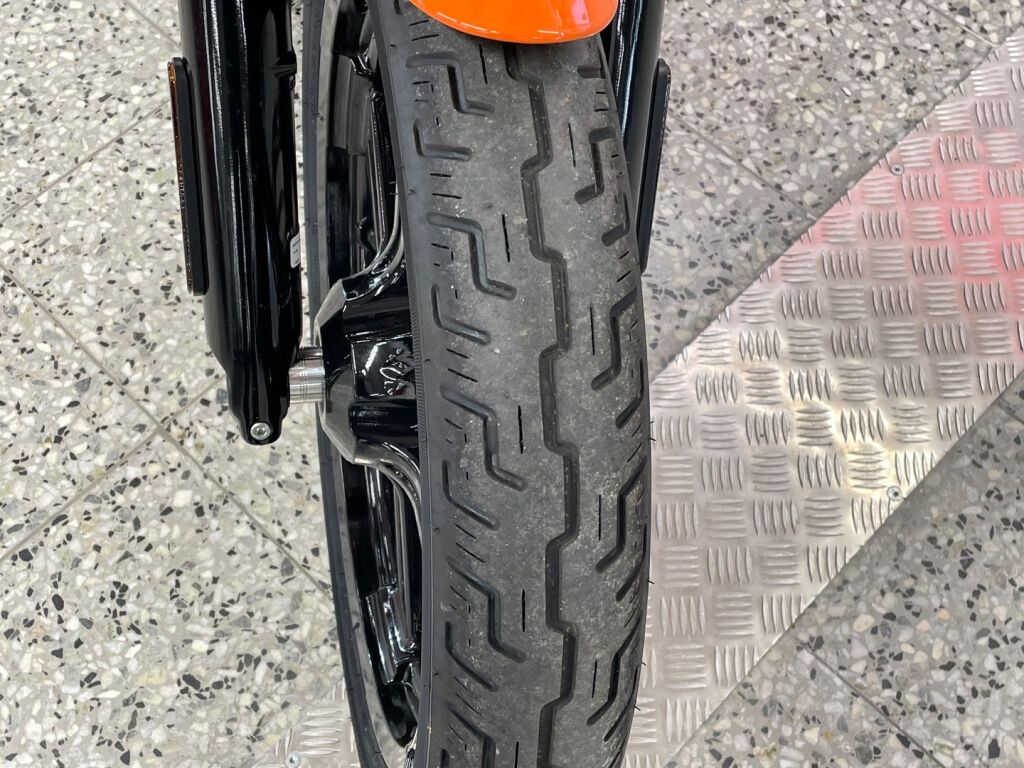 Harley-davidson SOFTAIL 2024 