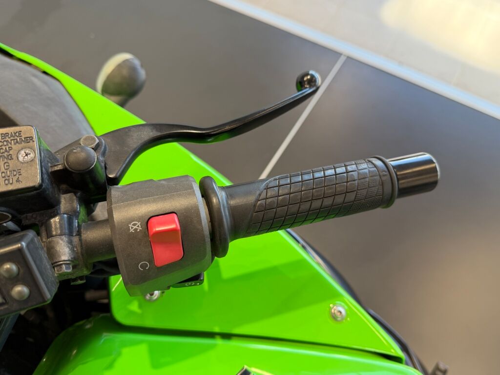 Kawasaki NINJA 2011 Vihreä