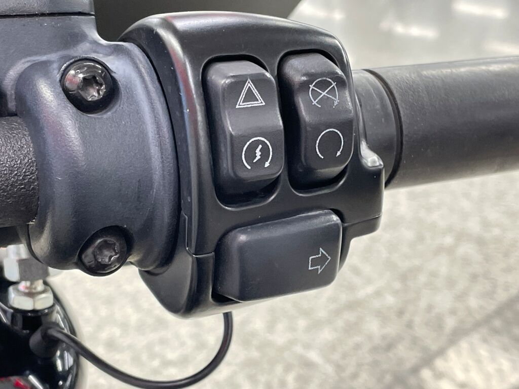 Harley-davidson SOFTAIL 2018 