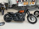 Harley-davidson SOFTAIL 2021 