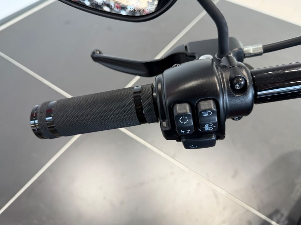 Harley-davidson SOFTAIL 2021 