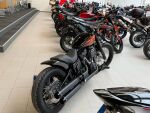 Harley-davidson SOFTAIL 2021 
