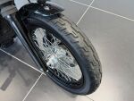 Harley-davidson SOFTAIL 2021 