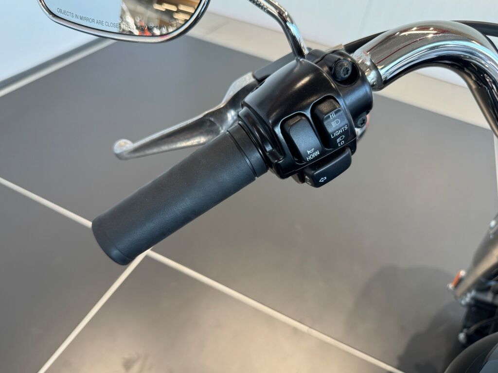 Harley-davidson SOFTAIL 2010 