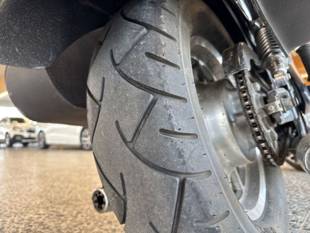 Triumph AMERICA 2010 Musta