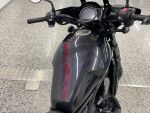 Honda REBEL 2021 