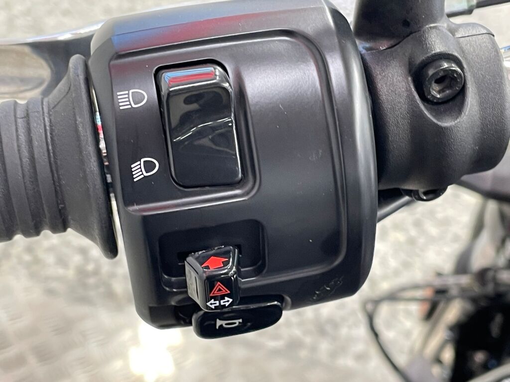 Indian SCOUT 2024 Musta