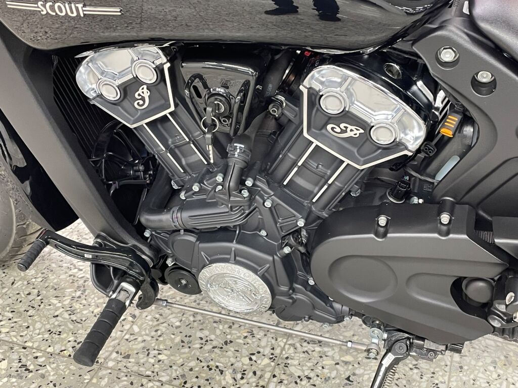 Indian SCOUT 2024 Musta
