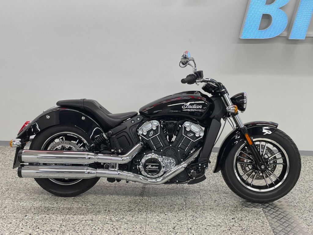 Indian SCOUT 2024 Musta