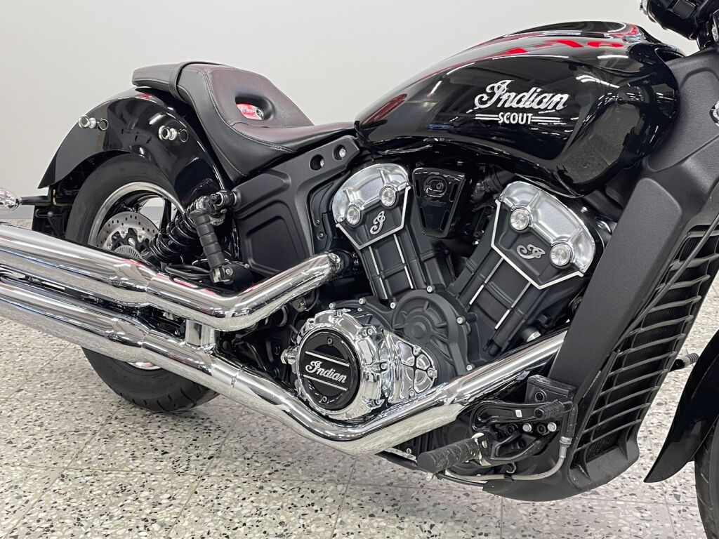 Indian SCOUT 2024 Musta