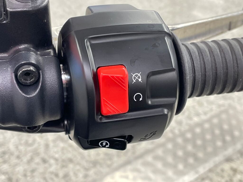 Indian SCOUT 2024 Musta