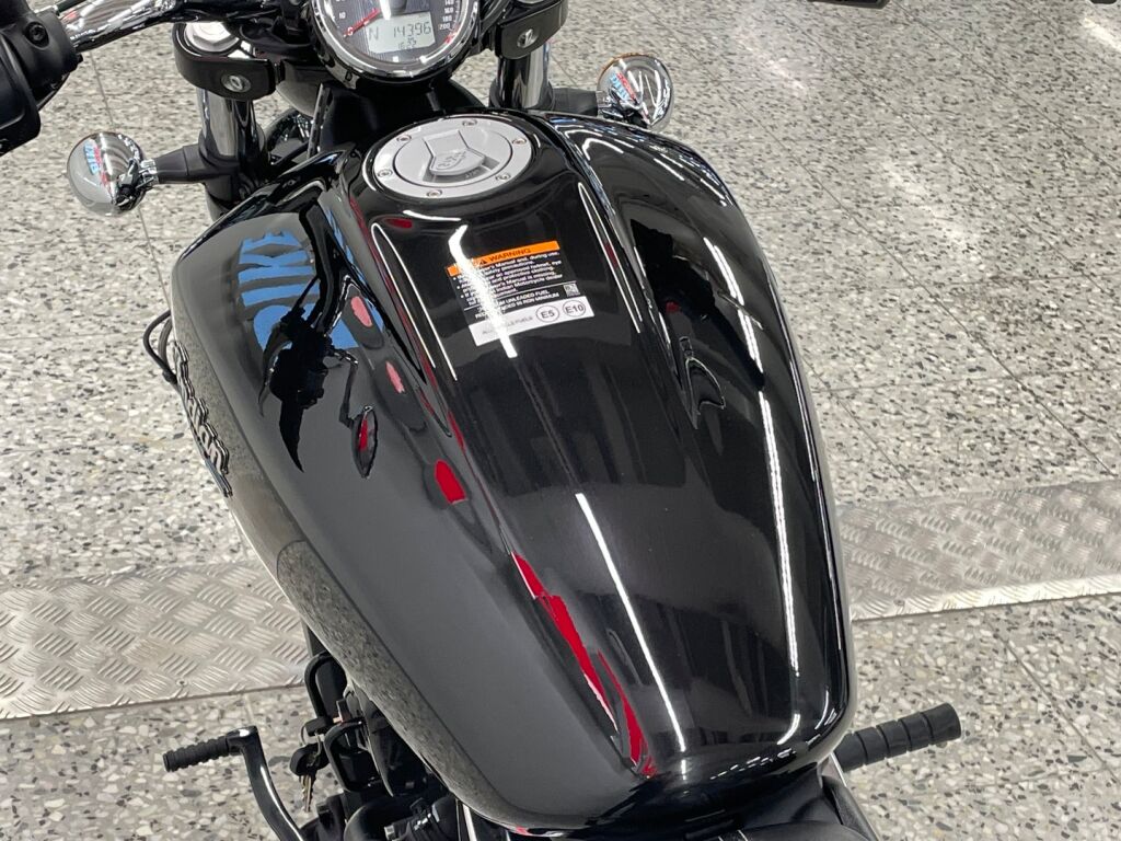 Indian SCOUT 2024 Musta