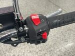 Benelli IMPERIALE 2023 