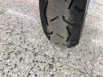 Triumph TIGER 2022 