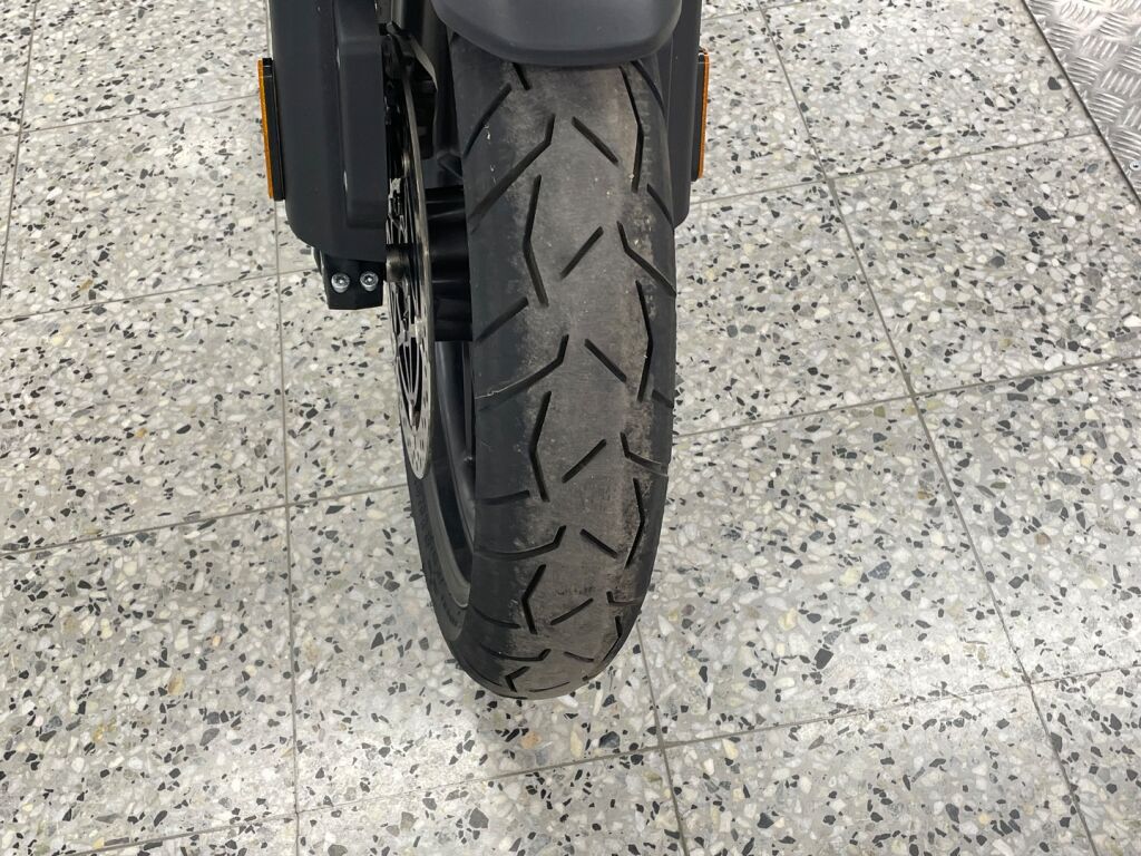 Triumph TIGER 2022 