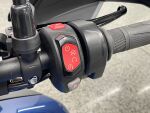 Triumph TIGER 2022 
