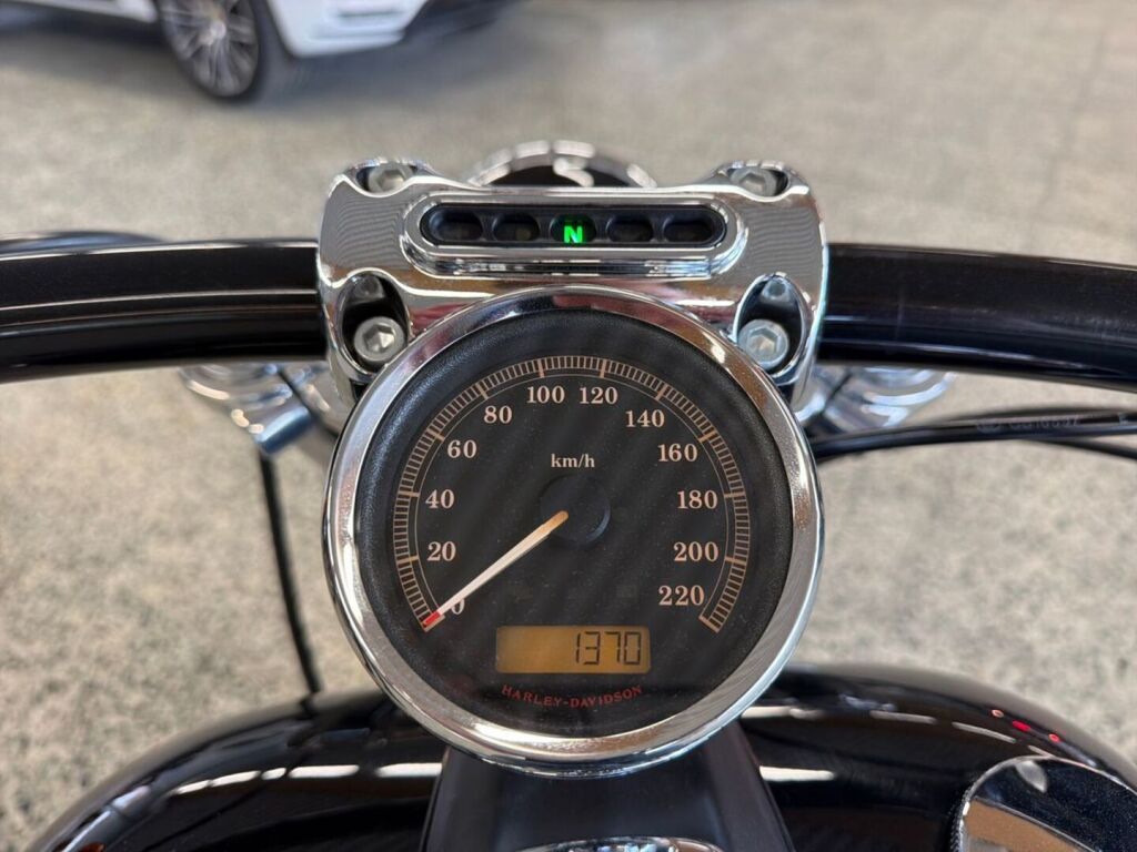 Harley-davidson SOFTAIL 2013 